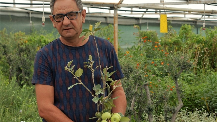 dsc 0004 880x495 1 dsc 0004 880x495 1